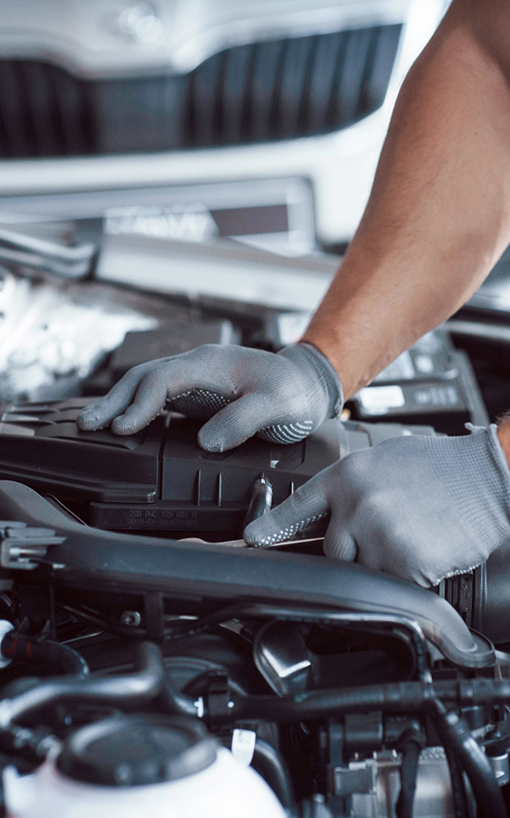 Mechanic Checking Import Transmission in Edmonton