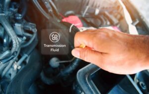 Low Transmission Fluid